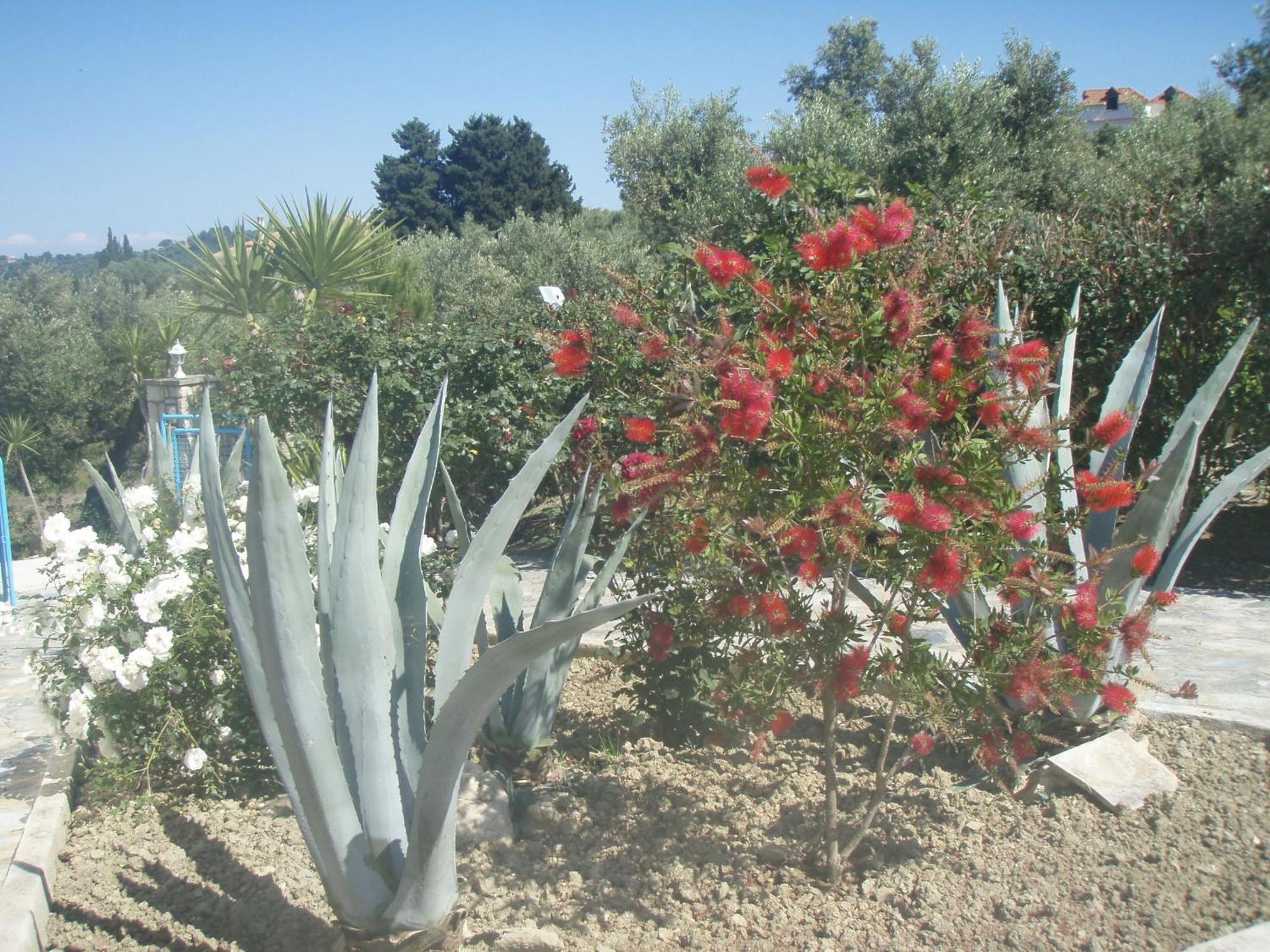 Seaview Apartments Tsilivi  Luaran gambar